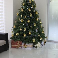 img_4238.jpg